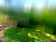 11811 sw 34th ave, portland,  OR 97219