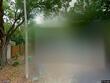 2721 baird ct, palm harbor,  FL 34684