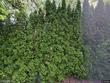8910 sw fredeen ln, portland,  OR 97225