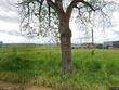 3667 sw 209th ave, hillsboro,  OR 97123