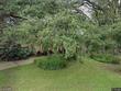 9611 125th st, seminole,  FL 33772