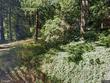 13977 se wiese rd, damascus,  OR 97089