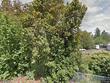 11119 nw 21st ave, vancouver,  WA 98685