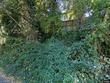 2806 ne 105th cir, vancouver,  WA 98686