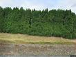 14504 se old barn ln, damascus,  OR 97089