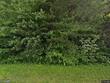 3023 mount laurel rd, clover,  VA 24534