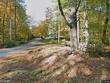  londonderry,  NH 03053