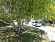 10961 62nd ave, seminole,  FL 33772