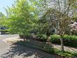 4113 ne 8th ave, portland,  OR 97211