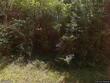 000 frontier, hattiesburg,  MS 39402