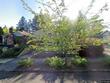 728 se 55th ave, portland,  OR 97215