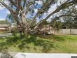 713 rustic oaks dr, palm harbor,  FL 34684
