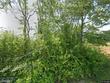 1225 tobacco rd, nathalie,  VA 24577