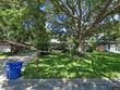 925 irene ave, largo,  FL 33771