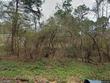 92 wilson rd, hattiesburg,  MS 39402