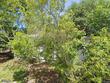 1908 56th st s, gulfport,  FL 33707