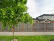 4225 s willow dr, ridgefield,  WA 98642