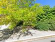 15 alexis ct, sparks,  NV 89441
