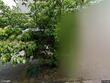 2325 n winchell st, portland,  OR 97217