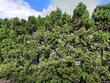10227 nw 109th ave, portland,  OR 97231
