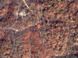 lot 289 ivy lane, garfield,  AR 72732