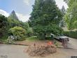 10618 sw 14th dr, portland,  OR 97219