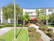 2591 countryside blvd #5203
                                ,Unit Unit 5203, clearwater,  FL 33761