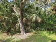 360 wellington ave, oldsmar,  FL 34677