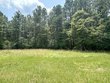 parcel 1 george boutwell rd., ovett,  MS 39464