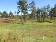  ellisville,  MS 39437