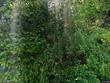 9220 sw 175th ave, beaverton,  OR 97007
