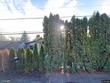 6919 se evergreen hwy, vancouver,  WA 98664
