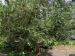 8730 sw washington dr, portland,  OR 97223