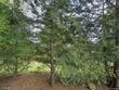 9890 sw grabhorn rd, beaverton,  OR 97007