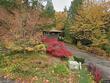 5903 sw sheridan ct, portland,  OR 97221
