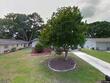 2004 yale ave, dunedin,  FL 34698
