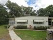 36 turtle creek ct #31, safety harbor,  FL 34695