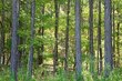felix road, nathalie,  VA 24577