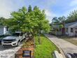 5004 23rd ave s, gulfport,  FL 33707