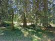 13706 s carus rd, oregon city,  OR 97045