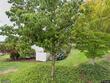 12412 nw jackson quarry rd, hillsboro,  OR 97124