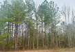 00 cr 8, laurel,  MS 39443