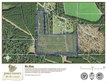 0 state school road, ellisville,  MS 39437