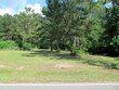16 shelton cedar rd, moselle,  MS 39459