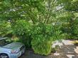 6202 ne 35th pl, portland,  OR 97211