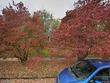 6435 ne 25th ave, portland,  OR 97211