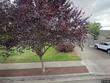 19577 morrie dr, oregon city,  OR 97045