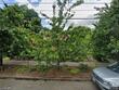 1541 se malden st, portland,  OR 97202